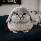 Генка Сквиртослов