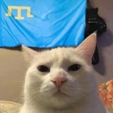 Ультра Кринж