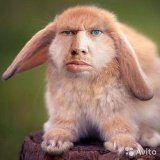 Кроль Димонов