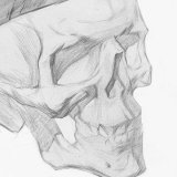 Misha_skull