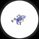 Zeverl