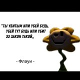 Ve4s