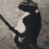 Diogenes1