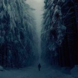 mew_forest
