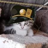 КоТэ БаРСиК