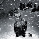 stellarstorm_