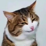 puff膣
