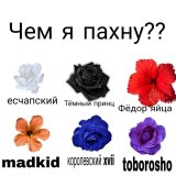 whiteop