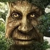 Goosichek