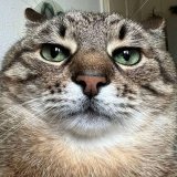 Атøн