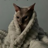 Великий Отаку