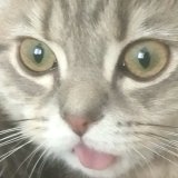unsoftizz