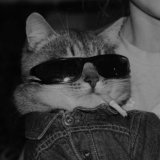 メＦｋｉｇｎメ