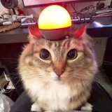星空の守護者