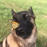 嘘をつく