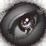 xtnemrot