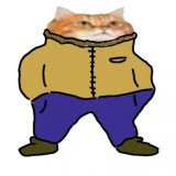NuTipaKotik