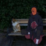 Спермотоксикоз