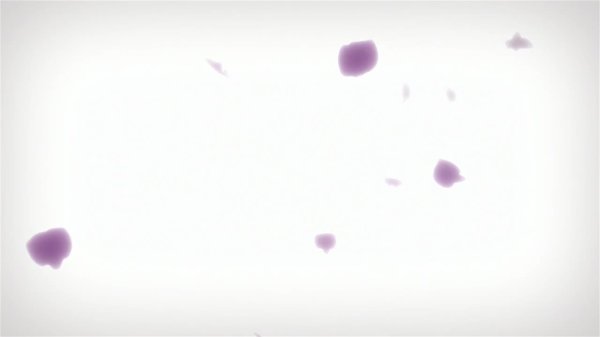 Кадр 7