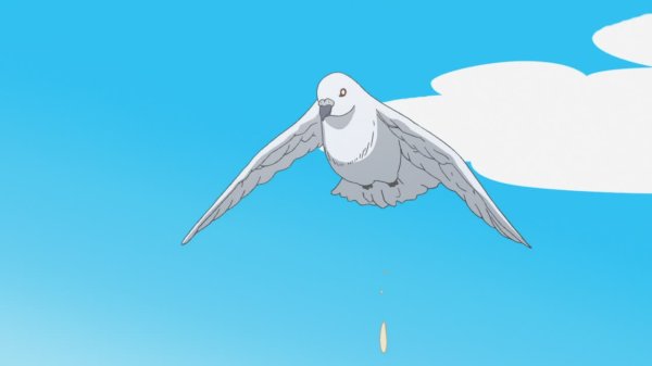 Кадр 1