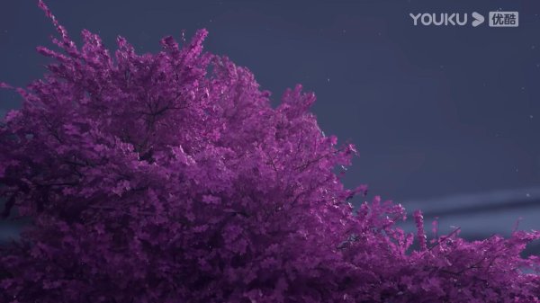 Кадр 2