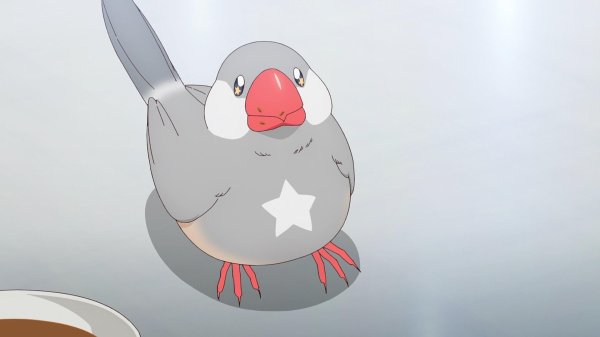 Кадр 3