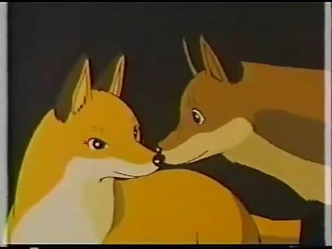 Кадр 5